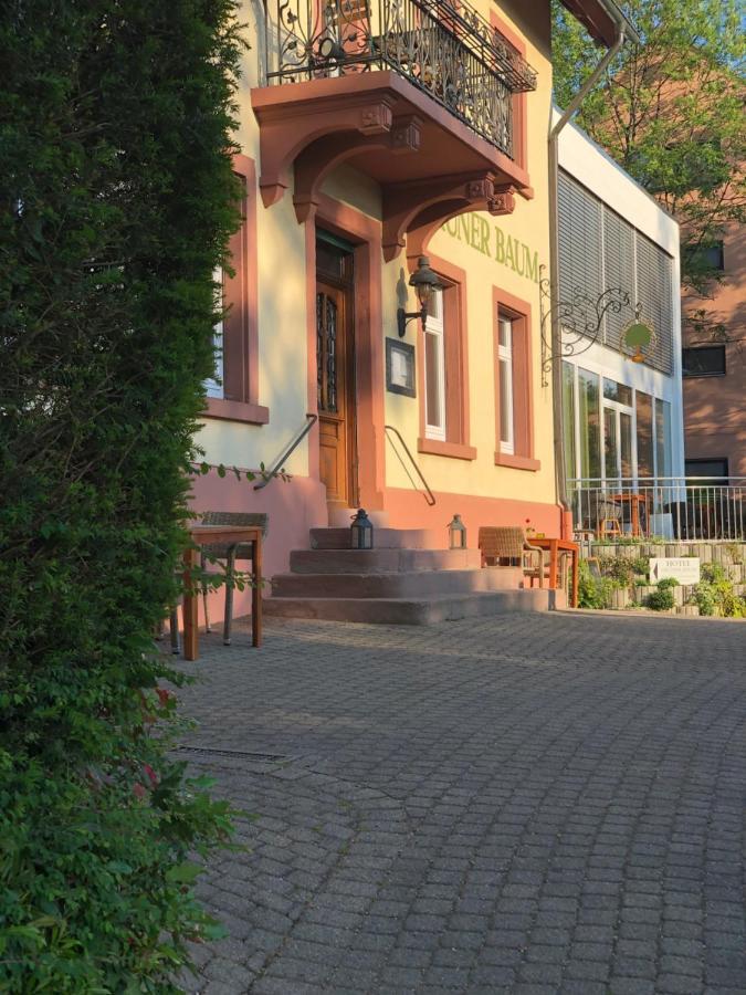 Hotel & Restaurant Gruener Baum Merzhausen Exterior photo