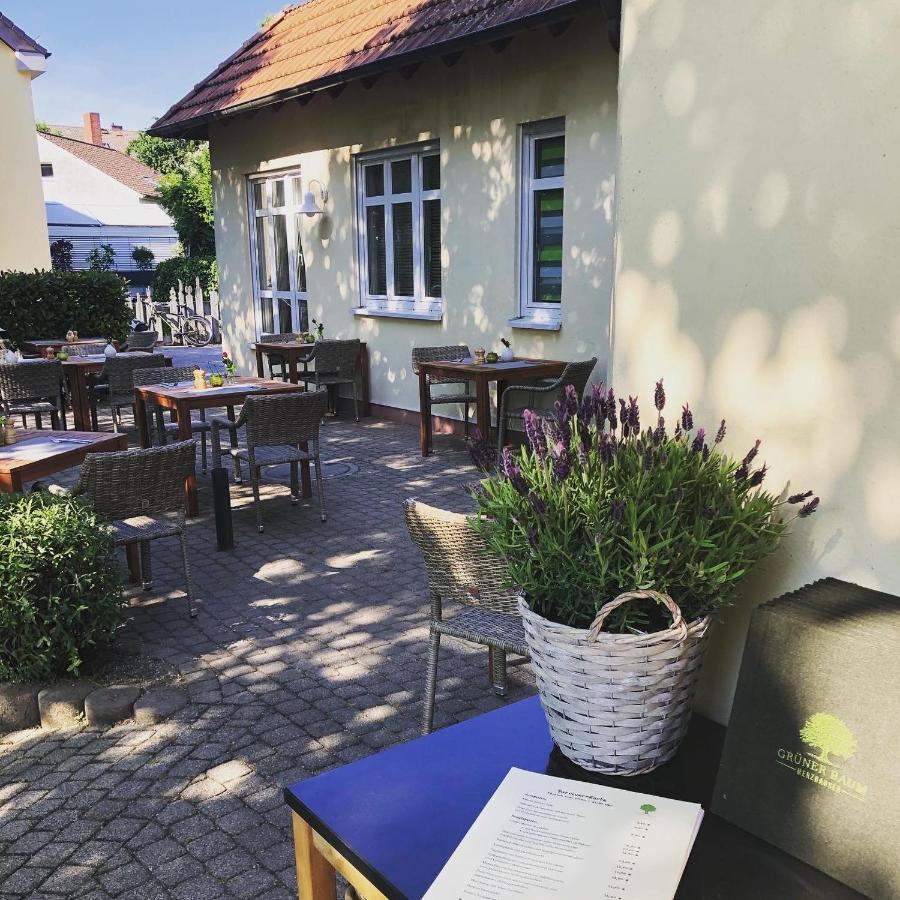 Hotel & Restaurant Gruener Baum Merzhausen Exterior photo